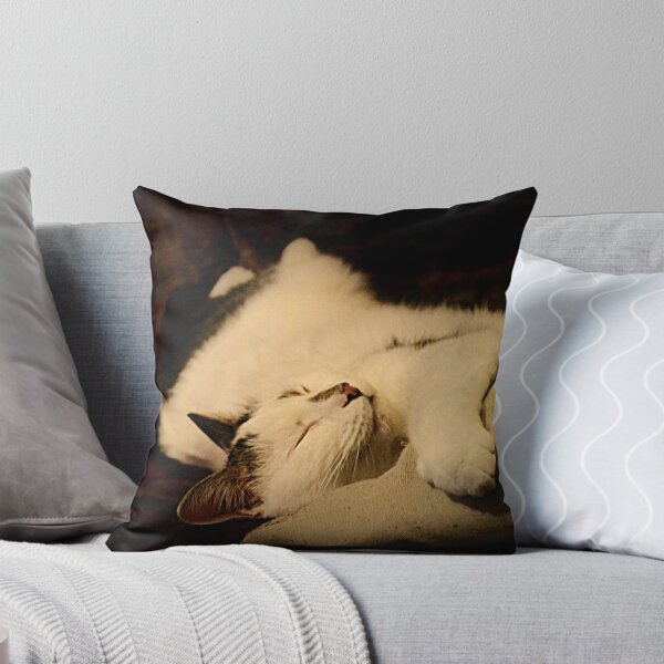 Item preview, Why Everybody Wants to be a Cat designed and sold by Ladymoose.