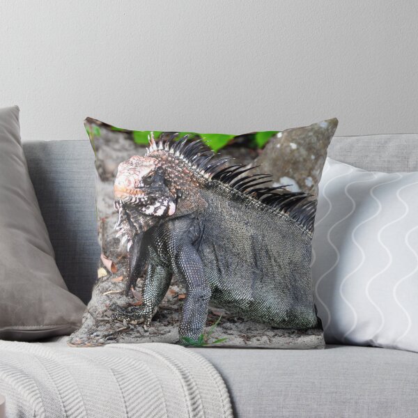 Aperçu de l'œuvre Spiked Iguana créée et vendue par CreatiVentures.
