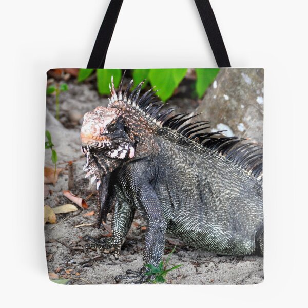 Item preview, Spiked Iguana designed and sold by CreatiVentures.