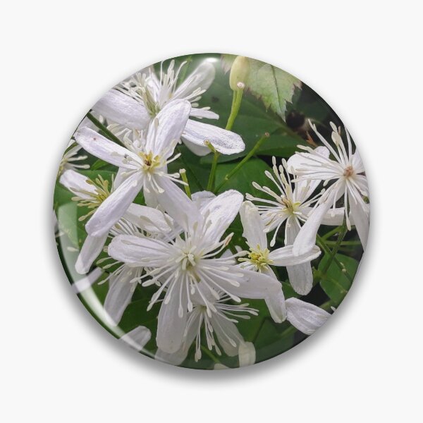 Item preview, White Clematis  designed and sold by Pegsterpower.