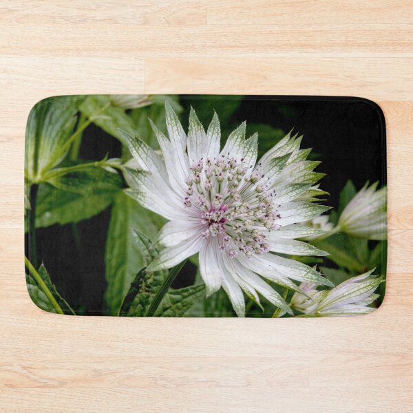 Item preview, Delicate designed and sold by Marylou Badeaux.