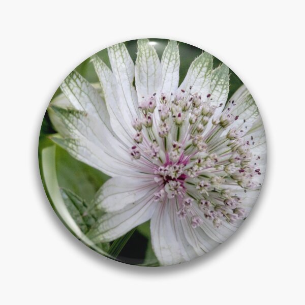Item preview, Delicate designed and sold by Marylou Badeaux.