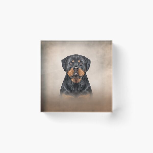 Item preview, Drawing dog rottweiler designed and sold by bonidog.