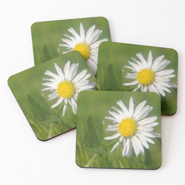 Item preview, Daisy Macro designed and sold by VikingVisual.