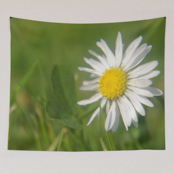 Item preview, Daisy Macro designed and sold by VikingVisual.