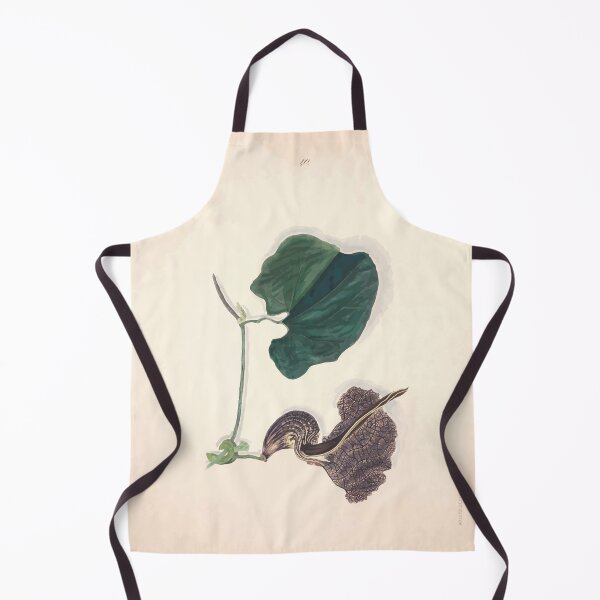 Item preview, Brazilian flowers drawn from nature in the years 1880 to 1882 in the neighbourhood of Rio de Janeiro E H Norton 043 designed and sold by WetdryvacRB01.