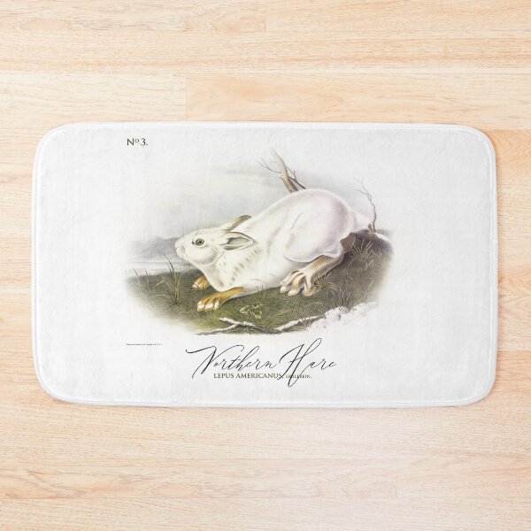 Item preview, Beautiful Bunny: Northern Hare by J.J.Audubon from 1843 designed and sold by ebrawne.