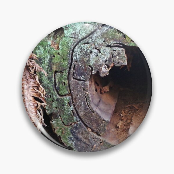 Item preview, Deception Pass Hollow Log designed and sold by VikingVisual.