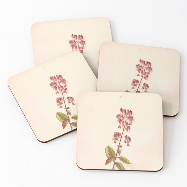 Item preview, Brazilian flowers drawn from nature in the years 1880 to 1882 in the neighbourhood of Rio de Janeiro E H Norton 044 designed and sold by WetdryvacRB01.