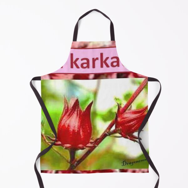 Item preview, JOUVENCE 2 Poster promotion karkadé flowers hibiscus health care vitamin nature Morocco red pink fuschia bordeaux photo teapot cup designed and sold by dragonemma.