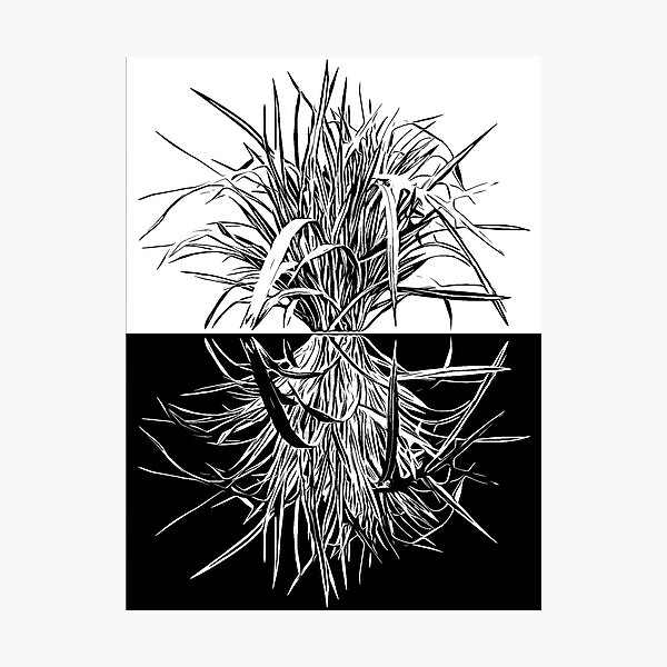 Item preview, As above so it is below designed and sold by Carlos Thomas.