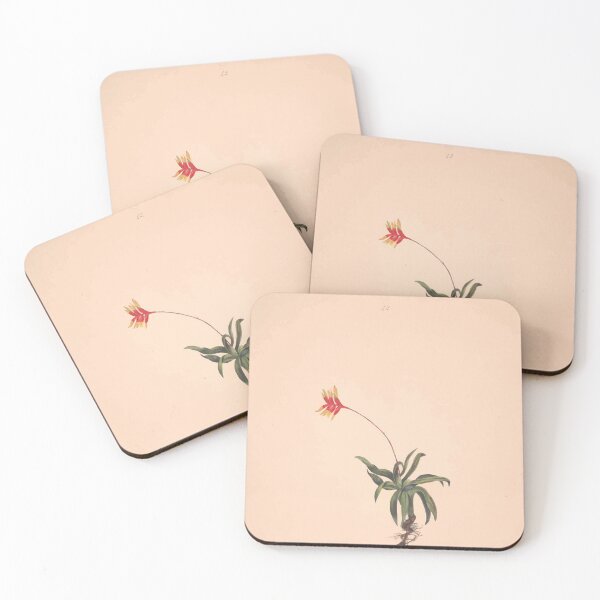 Item preview, Brazilian flowers drawn from nature in the years 1880 to 1882 in the neighbourhood of Rio de Janeiro E H Norton 046 designed and sold by WetdryvacRB01.