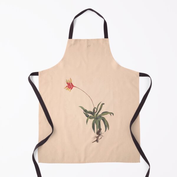 Item preview, Brazilian flowers drawn from nature in the years 1880 to 1882 in the neighbourhood of Rio de Janeiro E H Norton 046 designed and sold by WetdryvacRB01.