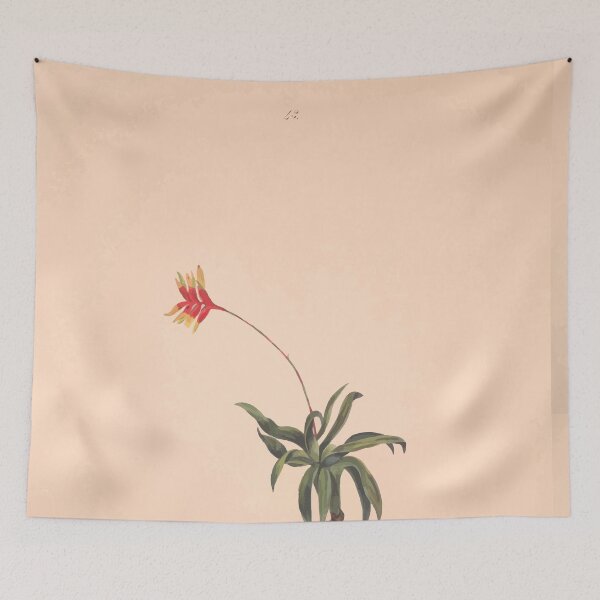 Item preview, Brazilian flowers drawn from nature in the years 1880 to 1882 in the neighbourhood of Rio de Janeiro E H Norton 046 designed and sold by WetdryvacRB01.
