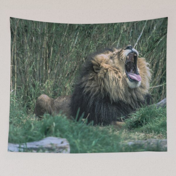 Item preview, Big Cat, Big Yawn designed and sold by Steven Jodoin.