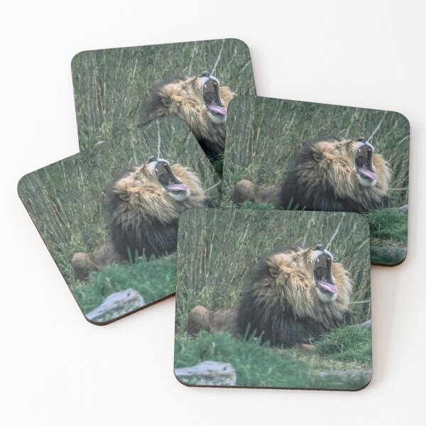 Item preview, Big Cat, Big Yawn designed and sold by Steven Jodoin.