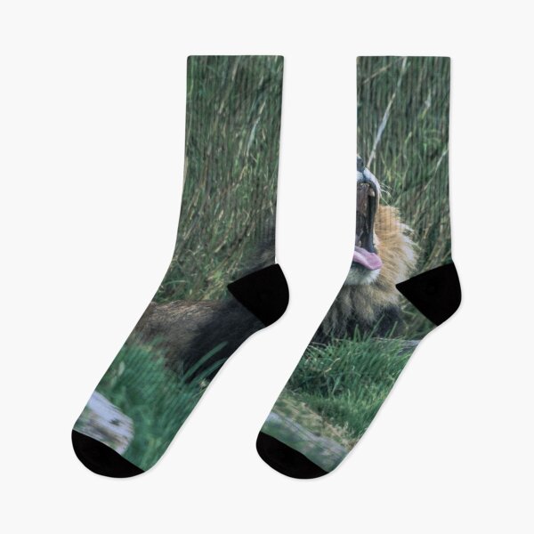 Item preview, Big Cat, Big Yawn designed and sold by Steven Jodoin.