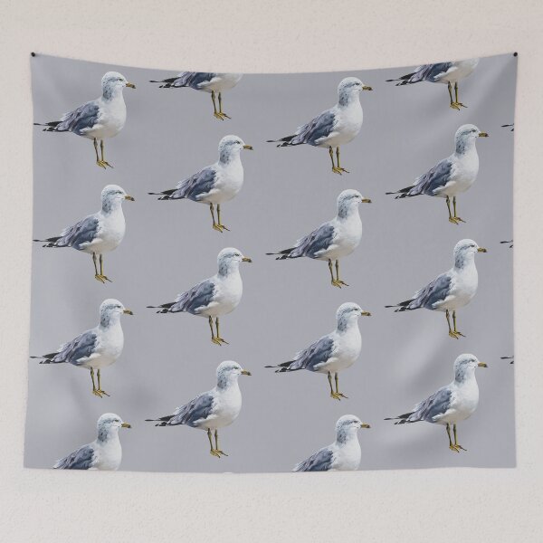 Item preview, Ring Billed Gull painting (no background) designed and sold by Emily Bickell.