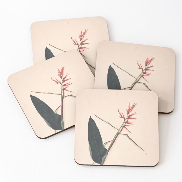 Item preview, Brazilian flowers drawn from nature in the years 1880 to 1882 in the neighbourhood of Rio de Janeiro E H Norton 048 designed and sold by WetdryvacRB01.
