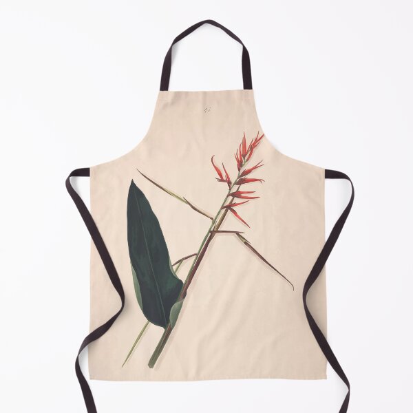 Item preview, Brazilian flowers drawn from nature in the years 1880 to 1882 in the neighbourhood of Rio de Janeiro E H Norton 048 designed and sold by WetdryvacRB01.
