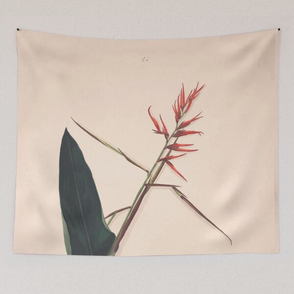 Item preview, Brazilian flowers drawn from nature in the years 1880 to 1882 in the neighbourhood of Rio de Janeiro E H Norton 048 designed and sold by WetdryvacRB01.