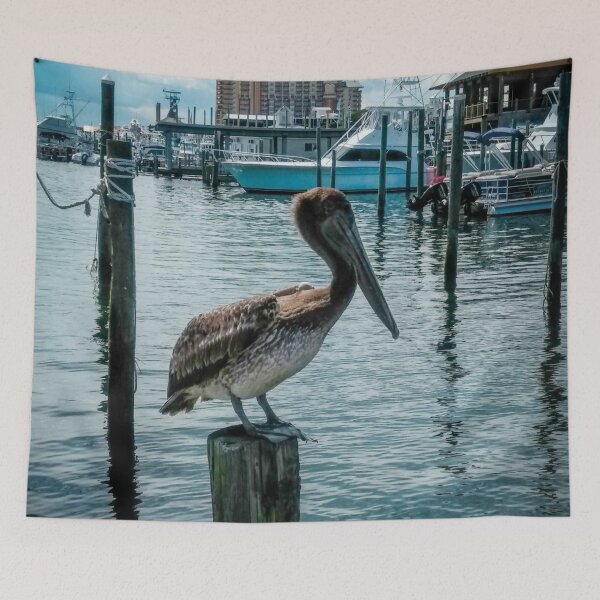 Item preview, Pelicans Of Florida designed and sold by SoulHeart.
