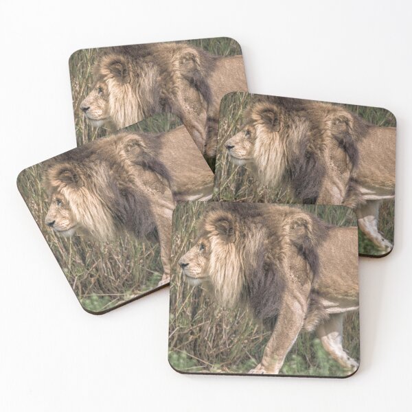 Item preview, The Focused Lion designed and sold by Steven Jodoin.