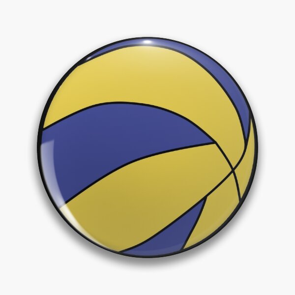 Solex Team Sports 45430 Ballon de Volley Bleu/Jaune/Blanc 22 x 22 x 22 cm