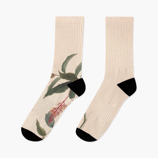 Item preview, Brazilian flowers drawn from nature in the years 1880 to 1882 in the neighbourhood of Rio de Janeiro E H Norton 050 designed and sold by WetdryvacRB01.