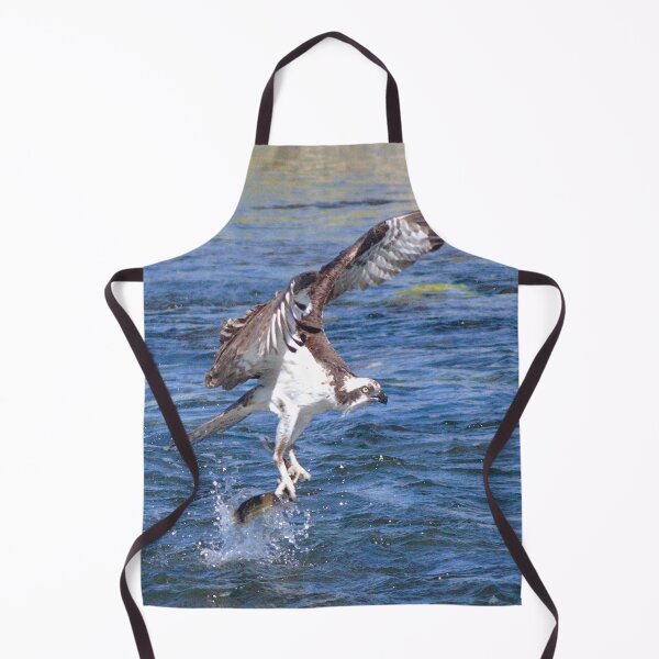 Watercolor Bird, Osprey 12, Yellowstone, Wyoming Apron