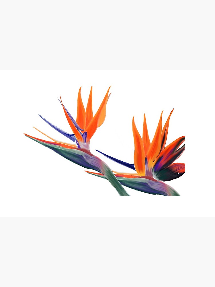 Bird of paradise flower de lcuenca