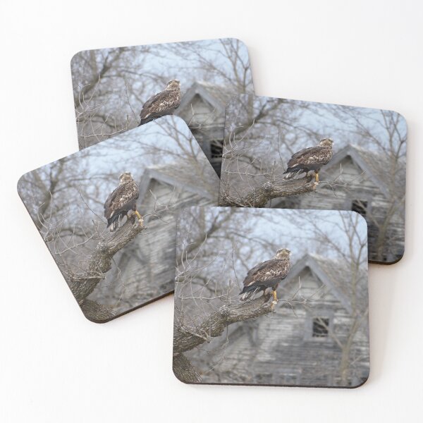 Item preview, Golden Eagle Photo Shoot designed and sold by SouthDakotaDall.