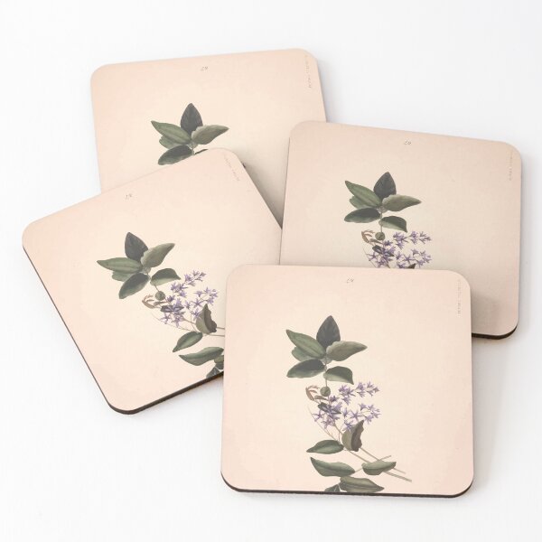 Item preview, Brazilian flowers drawn from nature in the years 1880 to 1882 in the neighbourhood of Rio de Janeiro E H Norton 052 designed and sold by WetdryvacRB01.