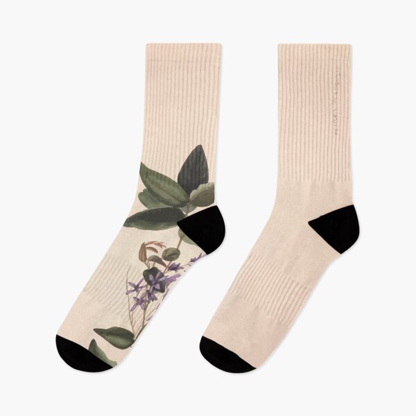 Item preview, Brazilian flowers drawn from nature in the years 1880 to 1882 in the neighbourhood of Rio de Janeiro E H Norton 052 designed and sold by WetdryvacRB01.
