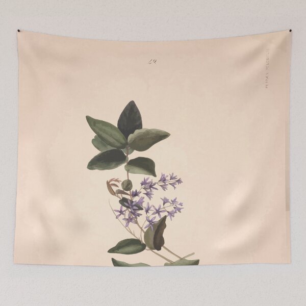 Item preview, Brazilian flowers drawn from nature in the years 1880 to 1882 in the neighbourhood of Rio de Janeiro E H Norton 052 designed and sold by WetdryvacRB01.