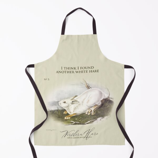 Item preview, Beautiful Bunny: Northern Hare by J.J.Audubon from 1843 designed and sold by ebrawne.