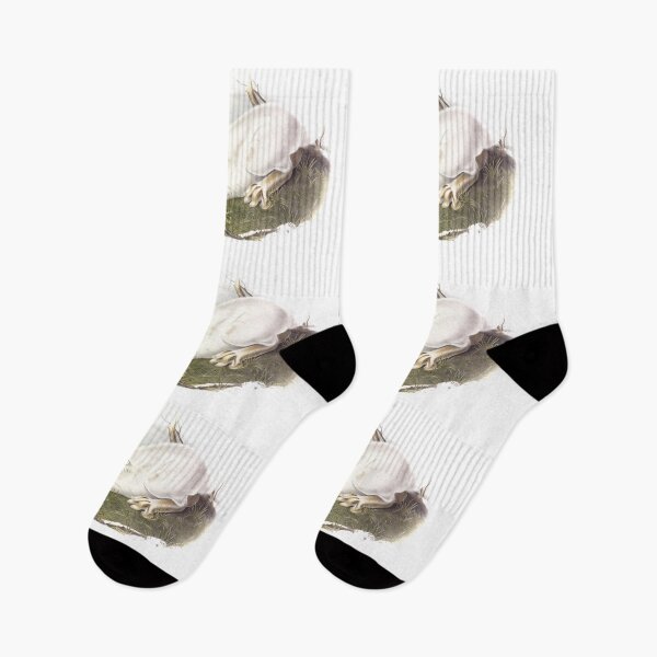 Item preview, Beautiful Bunny: Northern Hare by J.J.Audubon from 1843 designed and sold by ebrawne.