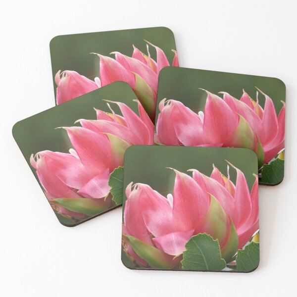 Item preview, Native Flower designed and sold by Honey Myrtle Studio.