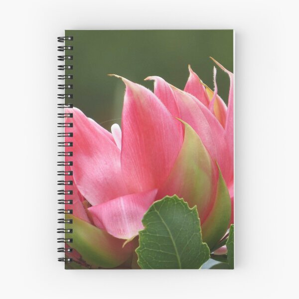 Item preview, Native Flower designed and sold by Honey Myrtle Studio.