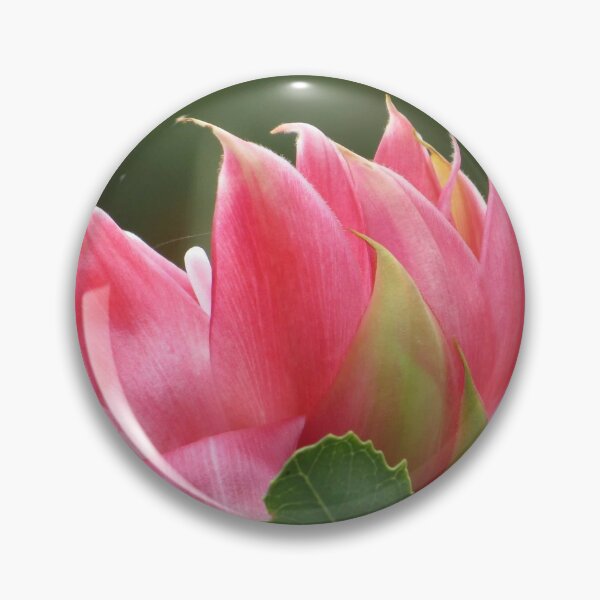Item preview, Native Flower designed and sold by Honey Myrtle Studio.