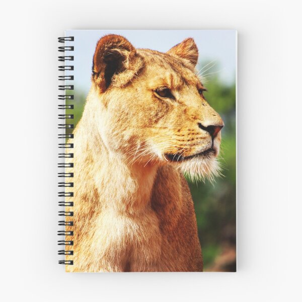 Item preview, Guarding Lioness designed and sold by OMGaZombieKing.