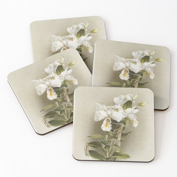 Item preview, Reichenbachia: Orchids Illustrated and Described designed and sold by EsotericBotanic.