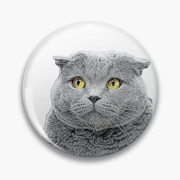 Item preview, Just in View - Scottish Fold designed and sold by Marlene Watson-Hall.