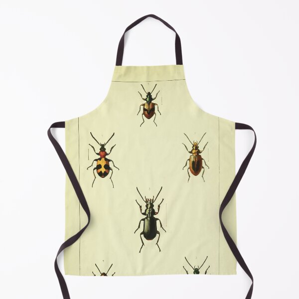 Item preview, British beetles an introduction to the study of our indigenous Coleoptera by Edward Caldwell Rye 1866 310 designed and sold by WetdryvacRB01.