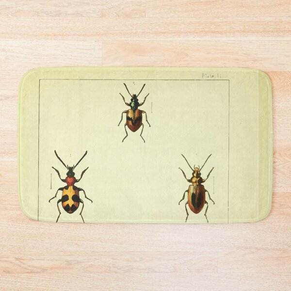 Item preview, British beetles an introduction to the study of our indigenous Coleoptera by Edward Caldwell Rye 1866 310 designed and sold by WetdryvacRB01.