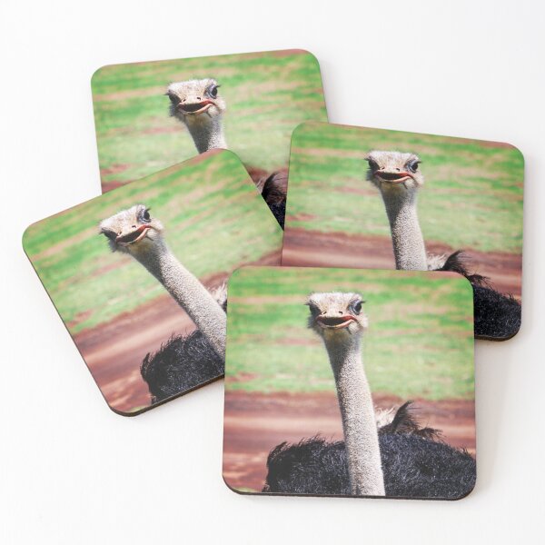 Item preview, Ostrich designed and sold by OMGaZombieKing.