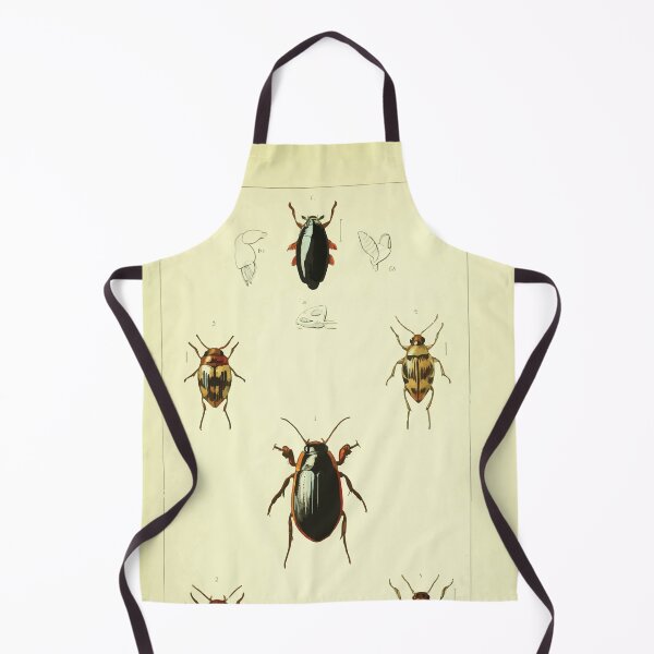 Artikelvorschau, Britische Käfer eine Einführung in das Studium unserer indigenen Coleoptera von Edward Caldwell Rye 1866 314 entworfen und verkauft von WetdryvacRB01.