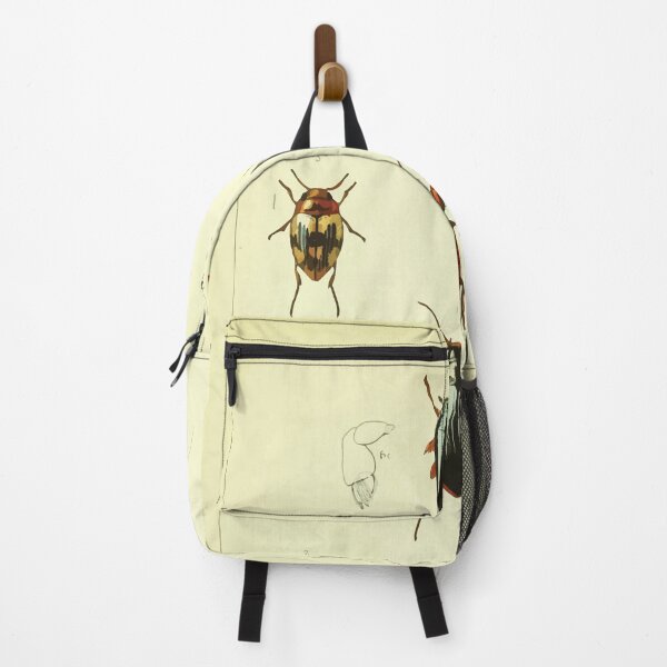 Item preview, British beetles an introduction to the study of our indigenous Coleoptera by Edward Caldwell Rye 1866 314 designed and sold by WetdryvacRB01.