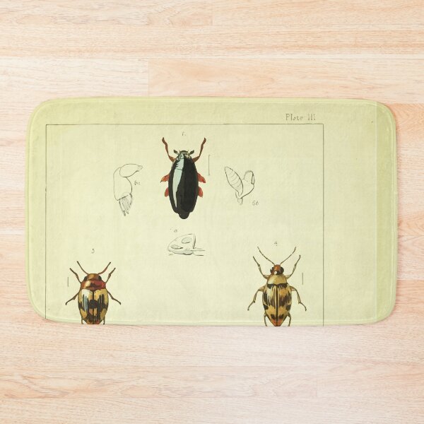 Item preview, British beetles an introduction to the study of our indigenous Coleoptera by Edward Caldwell Rye 1866 314 designed and sold by WetdryvacRB01.