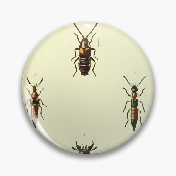 Item preview, British beetles an introduction to the study of our indigenous Coleoptera by Edward Caldwell Rye 1866 318 designed and sold by WetdryvacRB01.